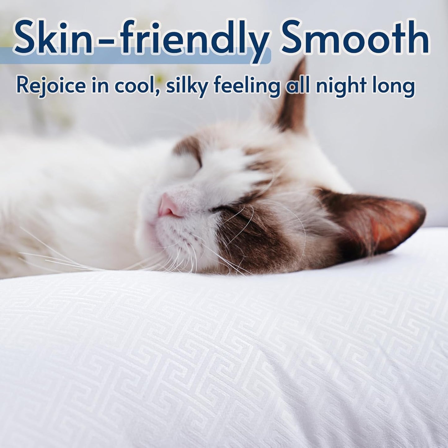 Viewstar Light Blue Fluffy Pillows (2-Pack)