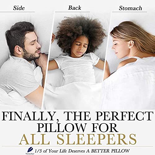 Viewstar Down Alternative Hotel Luxury Pillows (2-Pack)