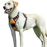 Load image into Gallery viewer, Eagloo Dog Harness for Large Dogs No Pull, Front Clip Dog Walking Harness with Reflective Adjustable Soft Padded Vest and Easy Control Handle, No-Choke Pet Harness with 2 Metal Rings, Orange, L