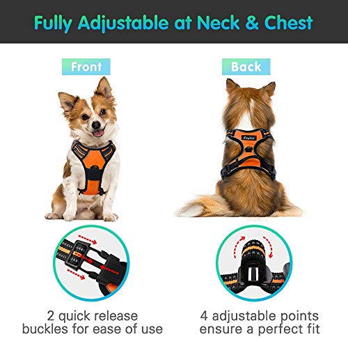  Gliard Dog Harness, No Pull Dog Harness Pet with 2 Leash Clips  for Large/Small/Middle Dogs (VV Pattern-XL Size) : Pet Supplies